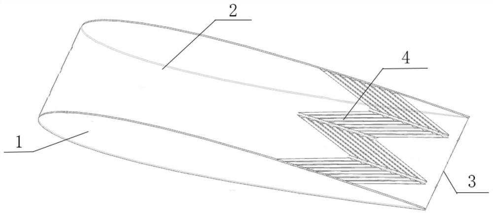 Low-Reynolds-number lower wing with oblique grooves