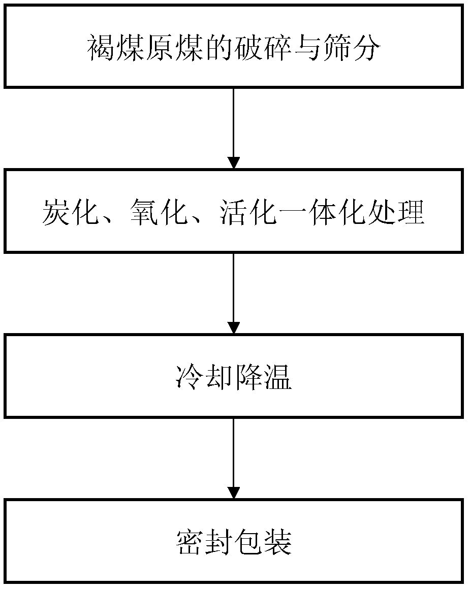 Active brown coal and preparation method thereof