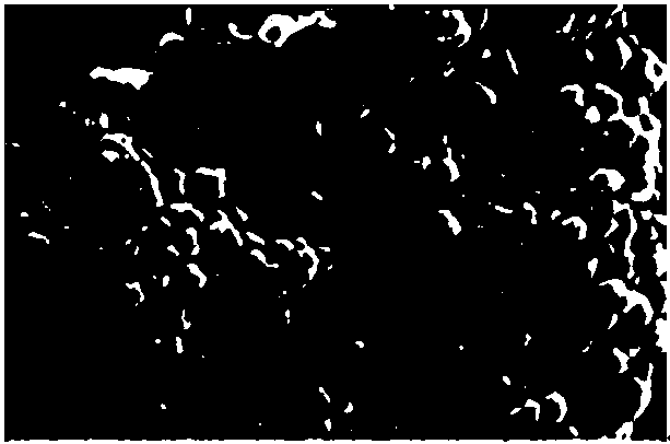 Starch-based montmorillonoid composite adsorption material with various charges distributed on surface and preparation method of starch-based montmorillonoid composite adsorption material