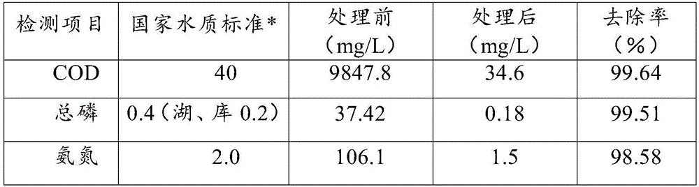 Broad spectrum biological agent for treating black and odorous water and use method thereof