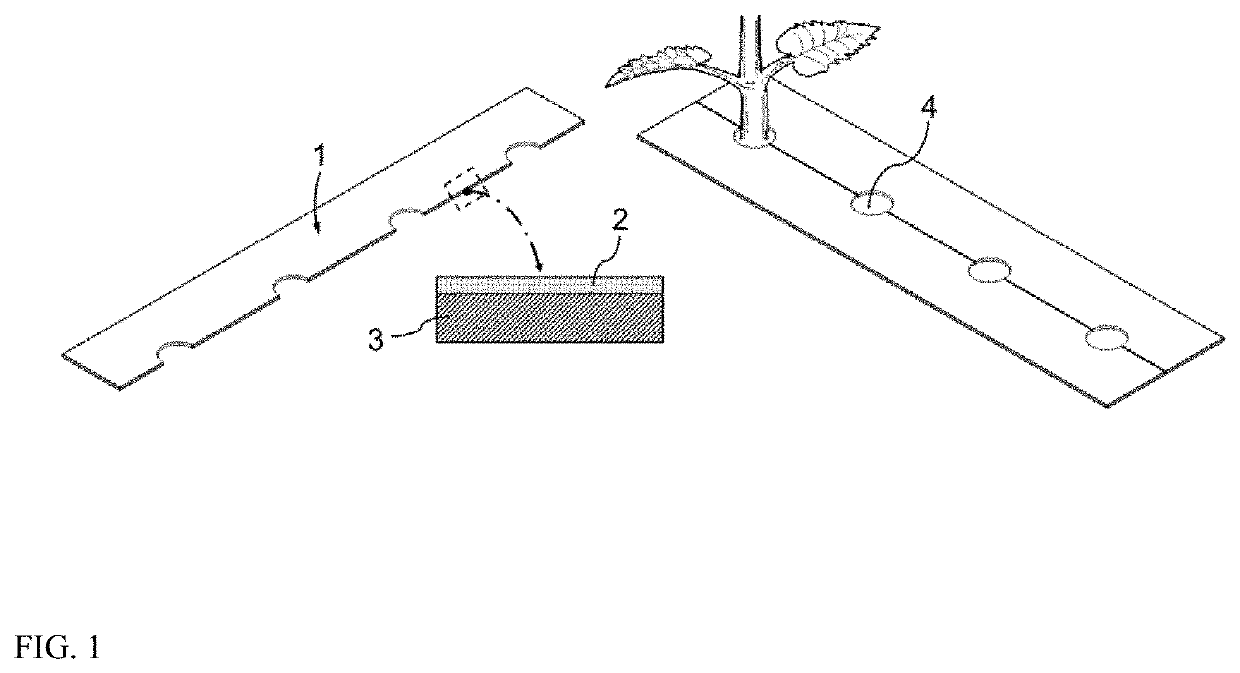 Apparatus and method for enhancing plant growth