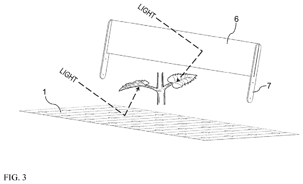 Apparatus and method for enhancing plant growth