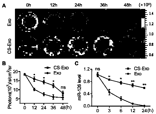 Technical means for thermo-responsive hydrogel package delivery of exosomes and treatment effect enhancement