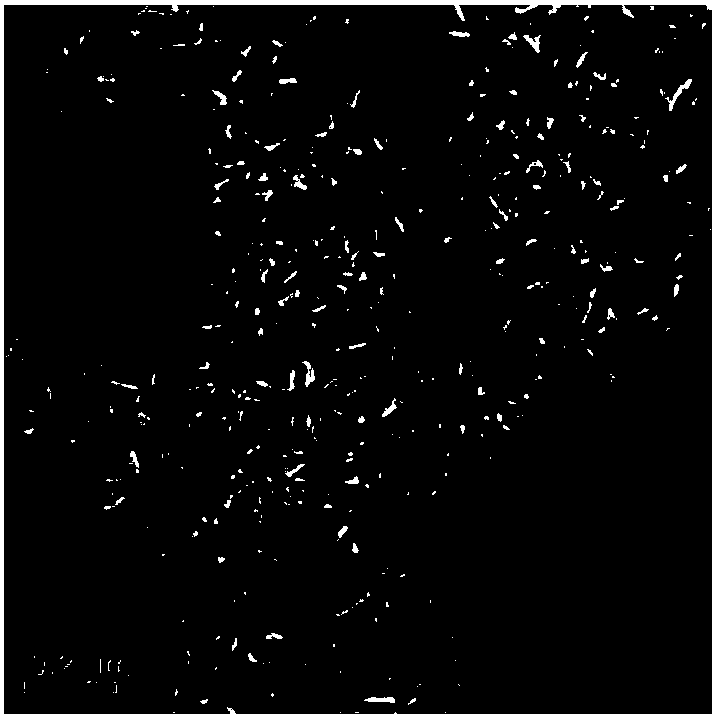 Copper-nickel-zinc oxide composite nanocrystalline photocatalyst and its preparation method and application