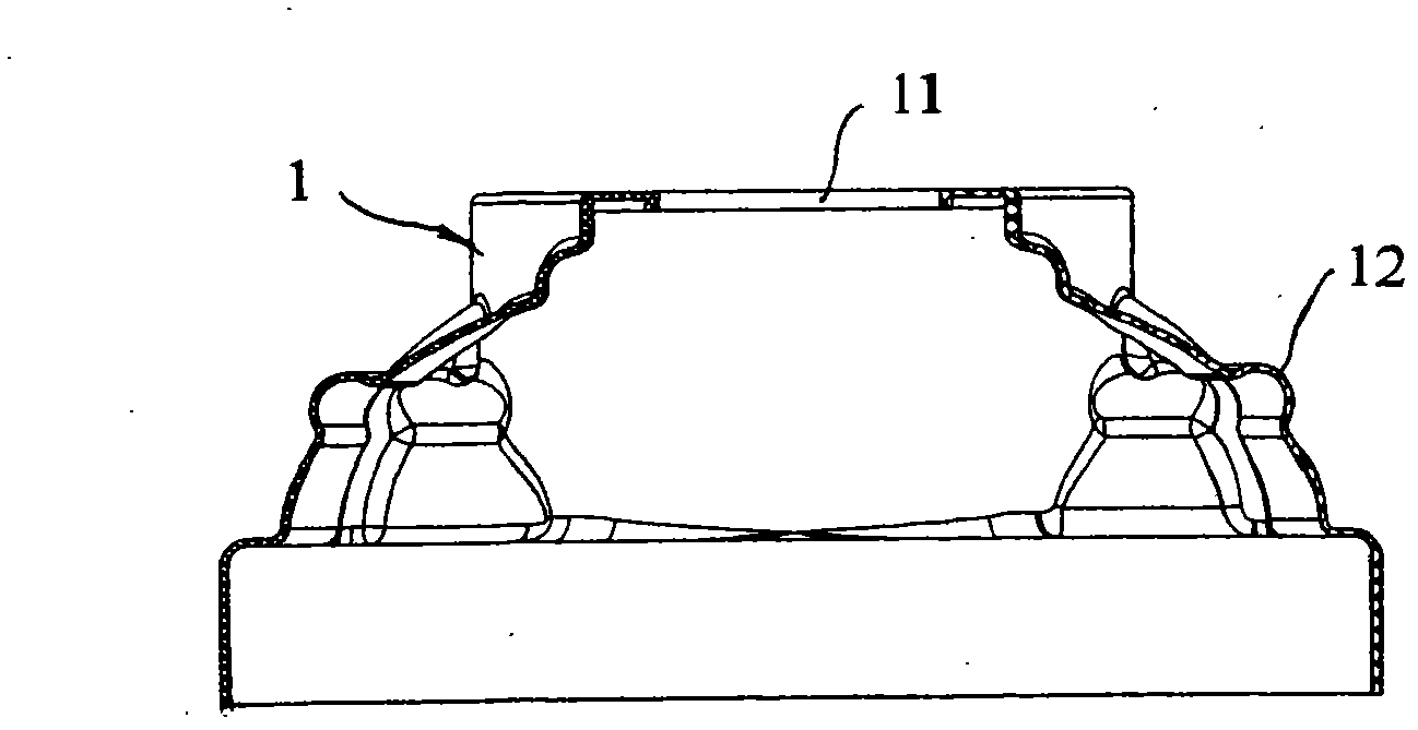 Inspection shaft