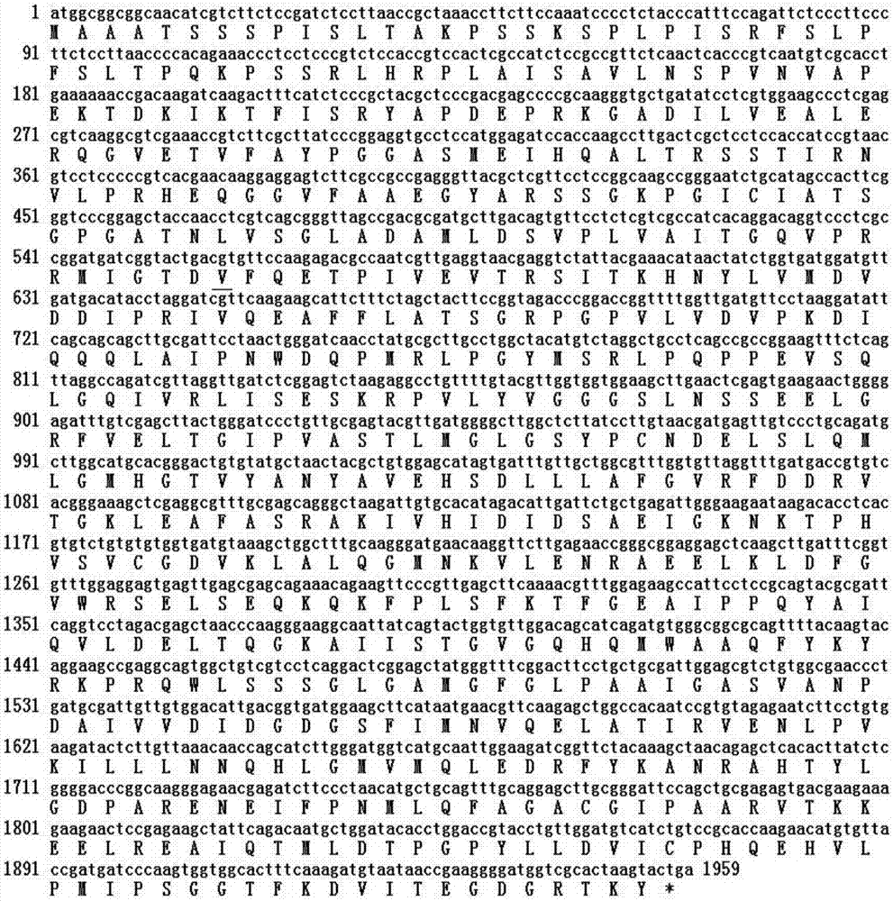 Rape multiple ALS (acetolactate synthase) inhibitor type herbicide-resistant gene based on in-vitro site-specific mutagenesis and application