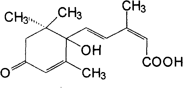 Seed coating agent for preventing cotton from fusarium / verticillium wilt