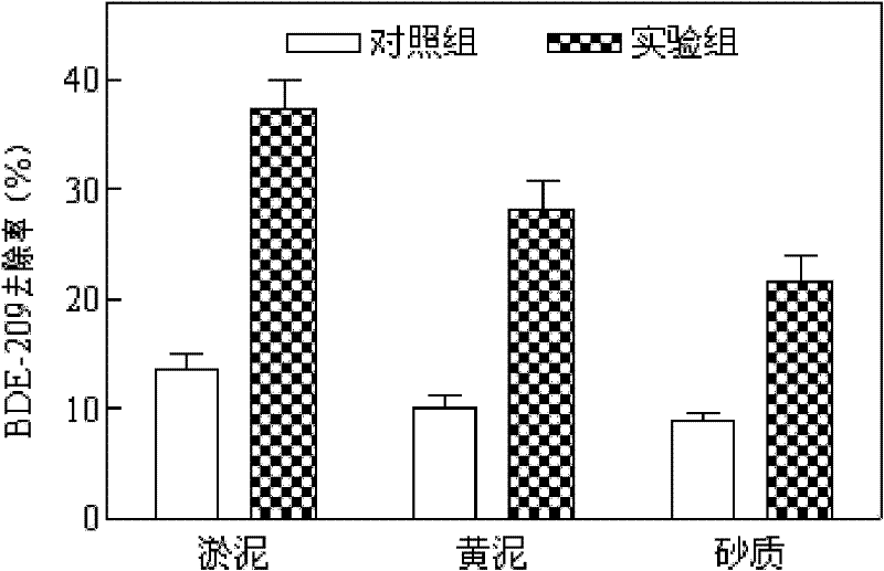 Method for removing toxic organic pollutants from sediment by using plant