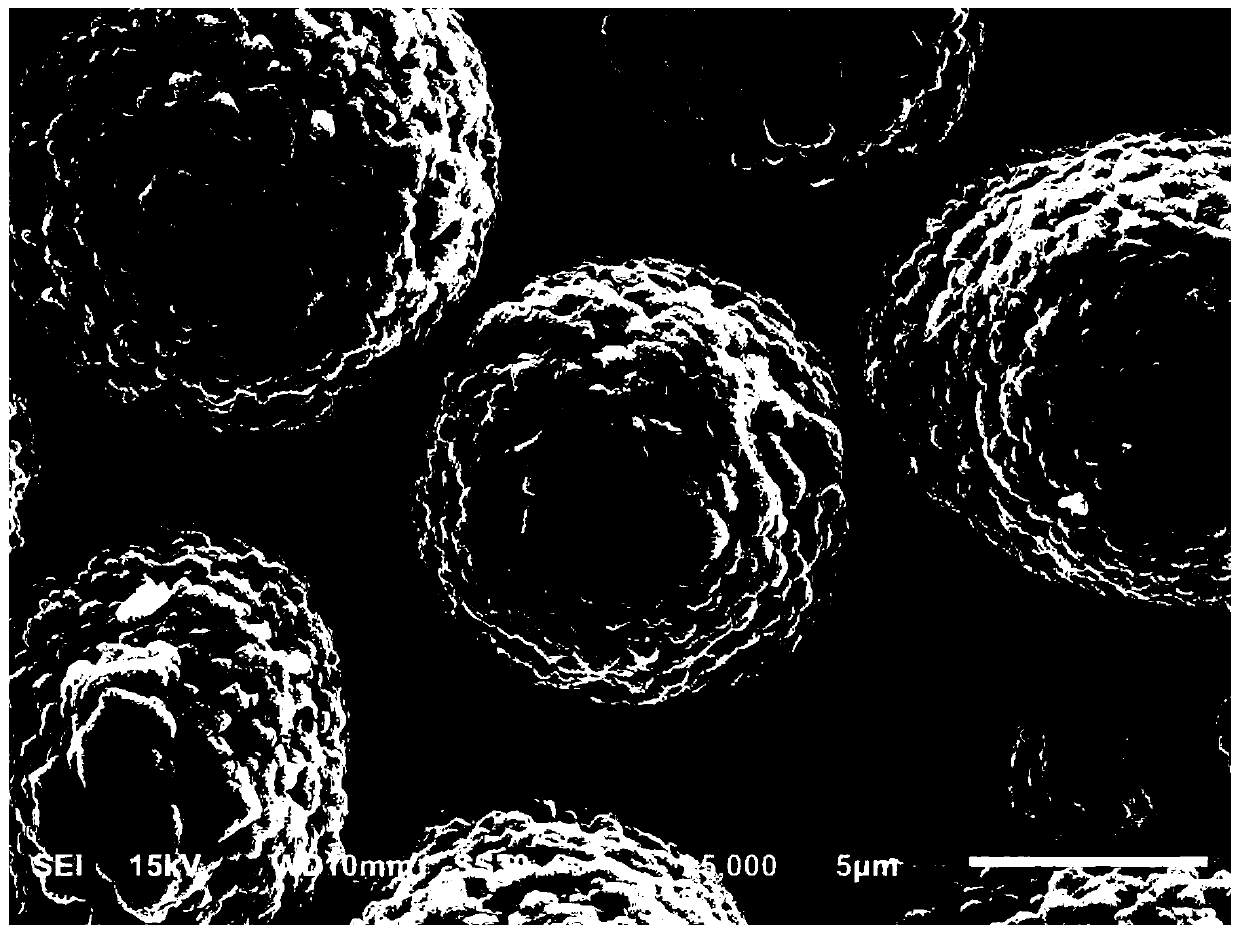 Composite cathode material, cathode sheet, preparation method of cathode sheet, and lithium ion battery