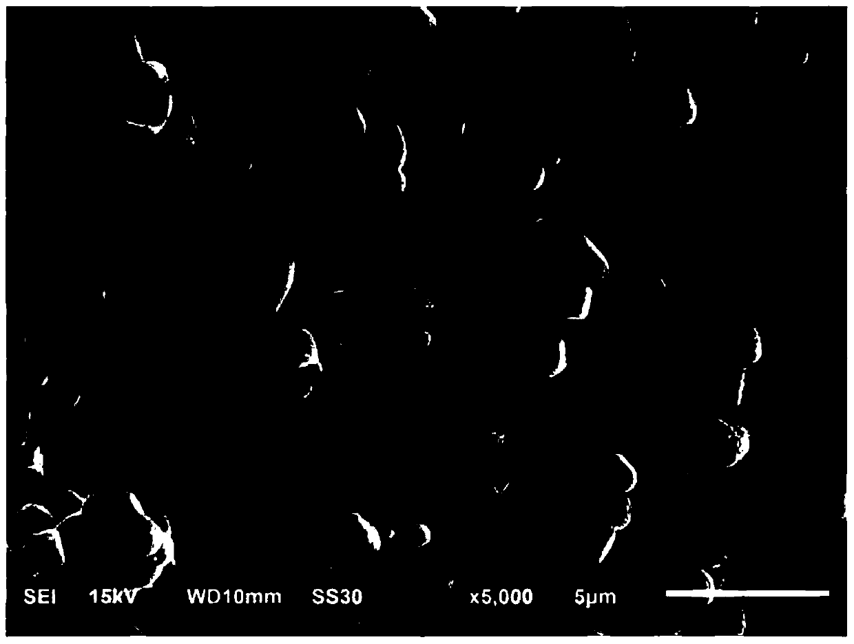 Composite cathode material, cathode sheet, preparation method of cathode sheet, and lithium ion battery