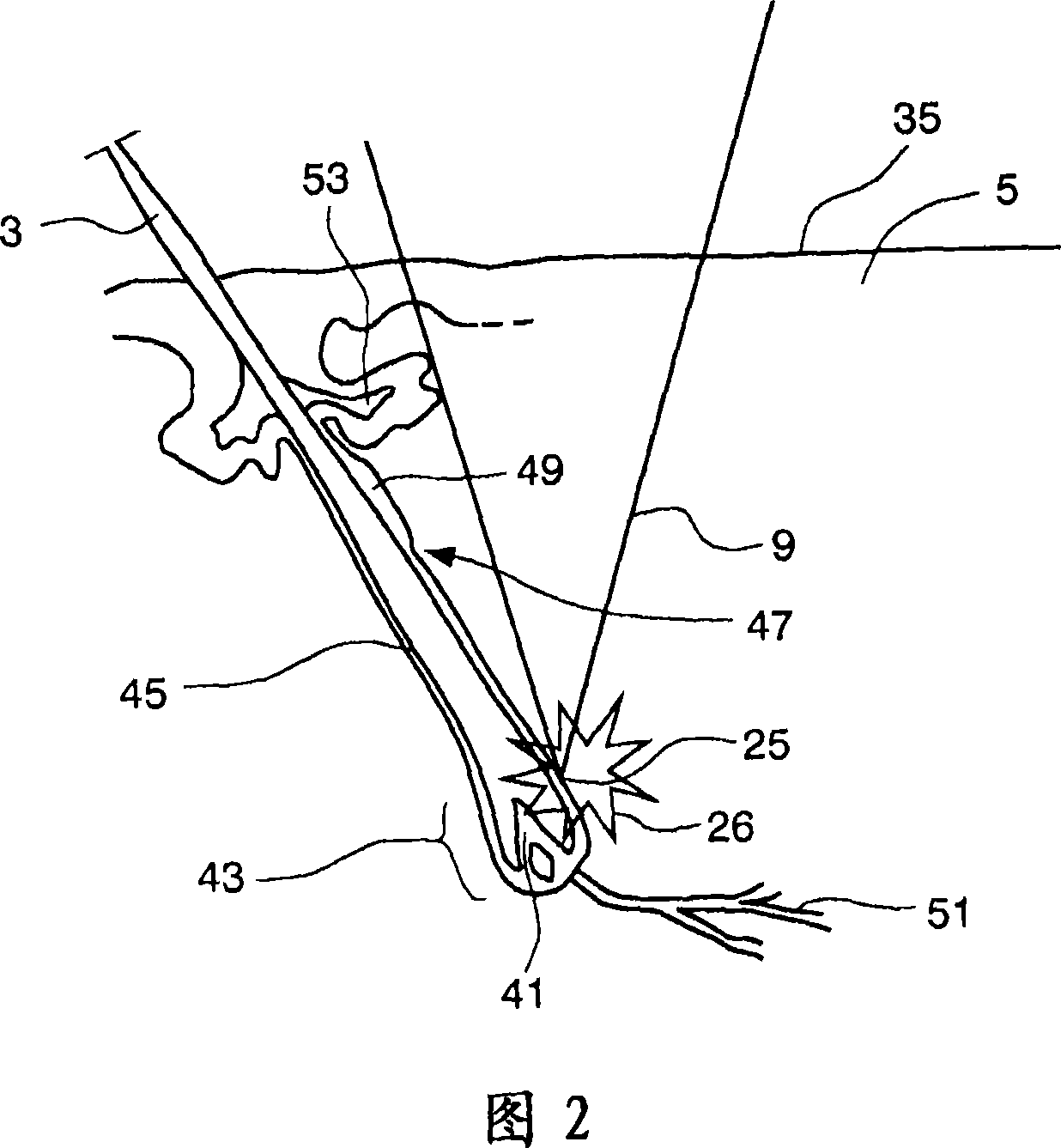 Hair-growth control device and hair-growth control method