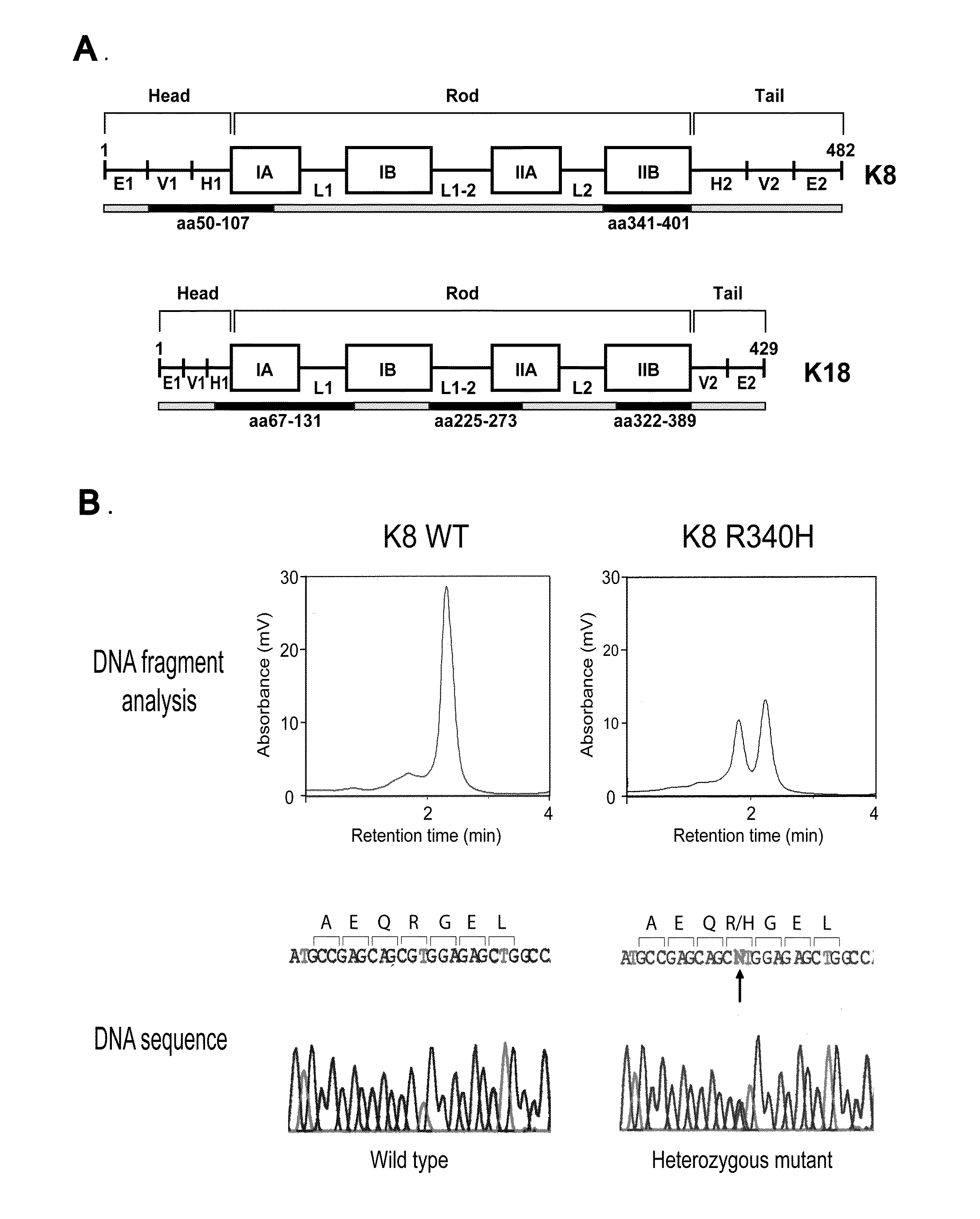 Keratin 8 Mutations are Risk Factors for Developing Liver Disease of Multiple Etiologies