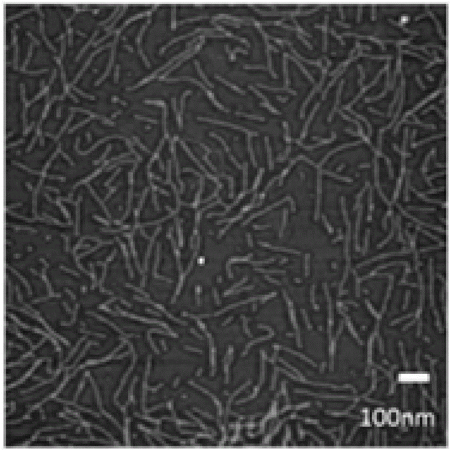 Method of assembling nano necklace based on DNA nanoribbon templating and gold particles