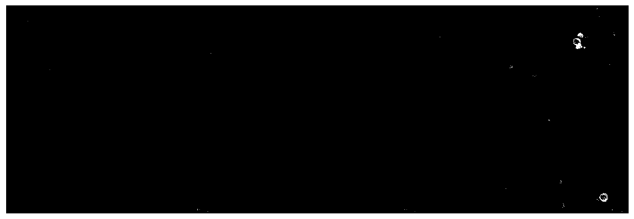 Preparation method and application of zein-polysaccharide composite particle