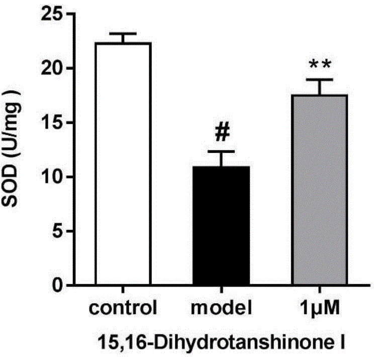 Applications of 15,16-dihydrotanshinone I in preparation of medicines protecting blood vessel endothelia