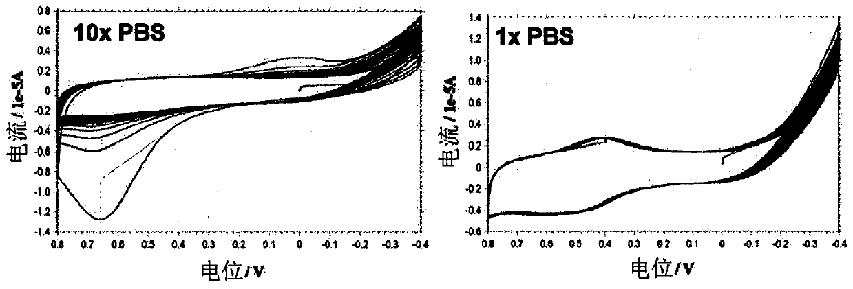 Electrode for biosensor for NADH measurement and manufacturing method therefor