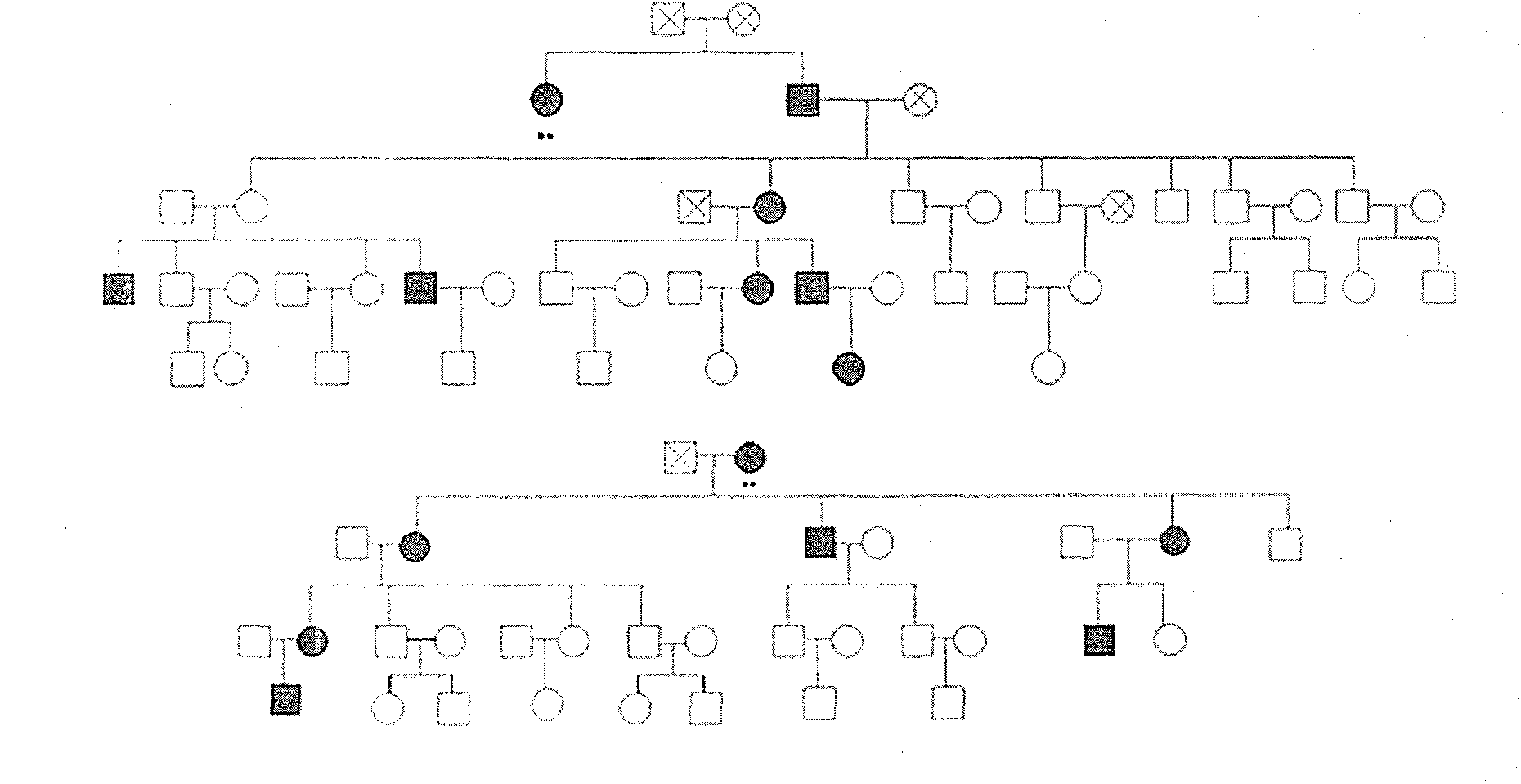 Chinese population linkage analysis single nucleotide polymorphism (SNP) marker sets and use method and application thereof