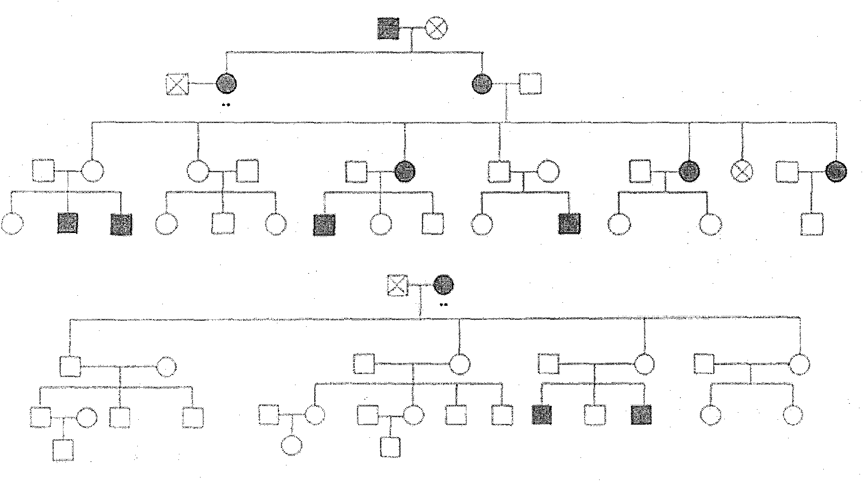 Chinese population linkage analysis single nucleotide polymorphism (SNP) marker sets and use method and application thereof