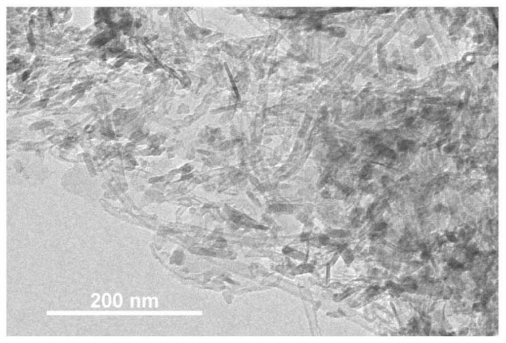 Preparation method and application of beta-phase ferronickel hydroxide/carbon nanotube compound with atomic defects