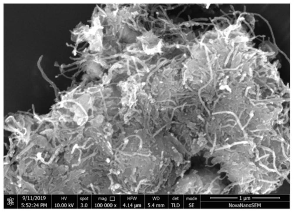 Preparation method and application of beta-phase ferronickel hydroxide/carbon nanotube compound with atomic defects