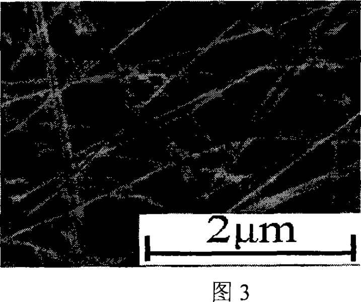 Method for preparing lanthanide series rare earth ions doped with bismuth titanate non-plumbum ferroelectric nano-wire