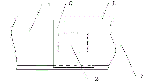 Quantitative feeding device