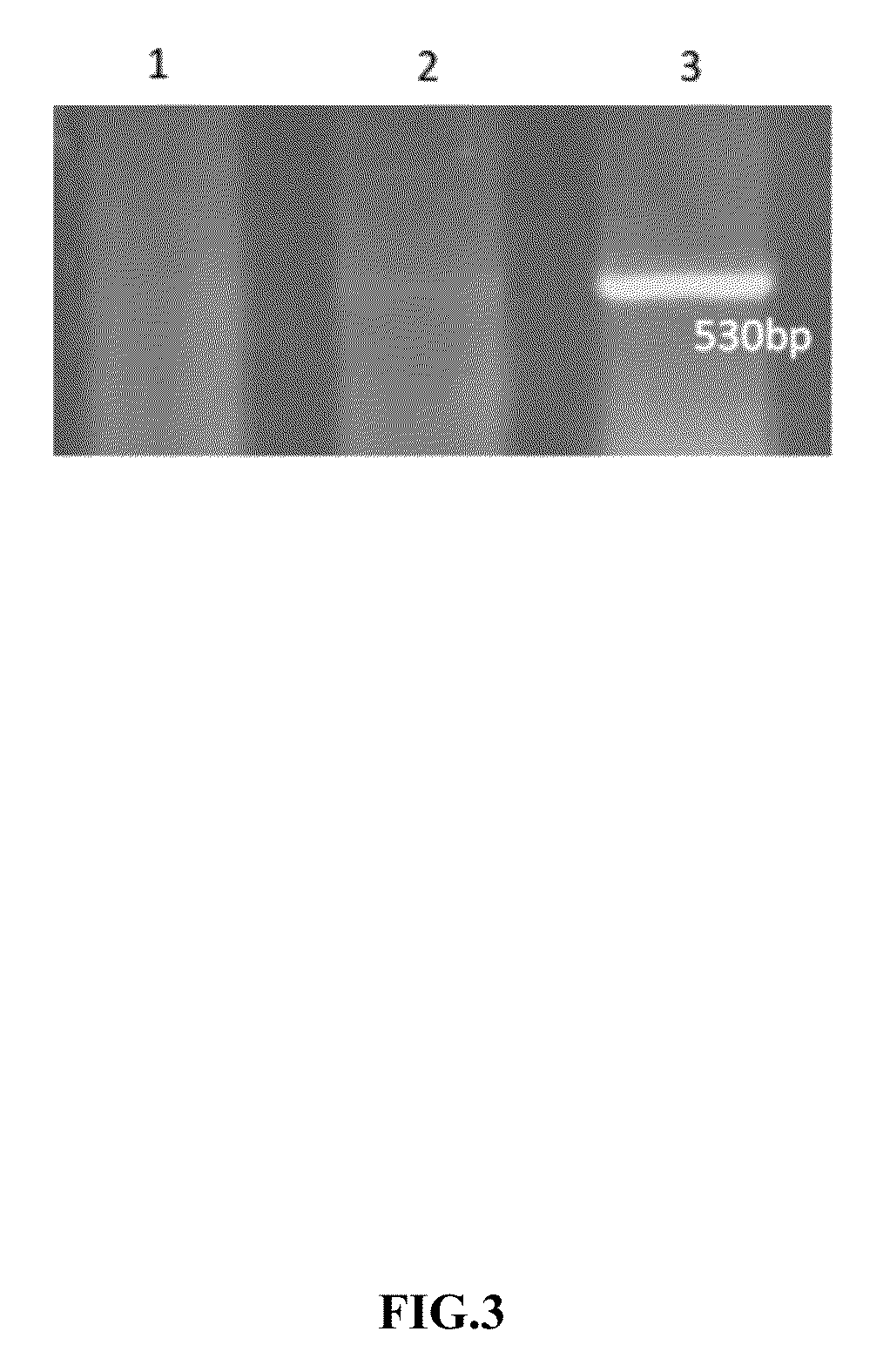 Herbal extract composition for the treatment of diabetes and a method of extracting the same