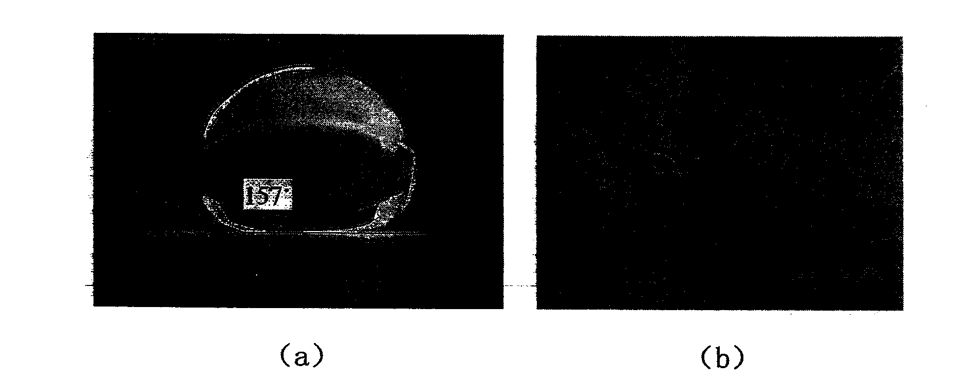 Method for preparing pollution preventing self-cleaning polyvinylidene fluoride (PVDF) film and product thereof