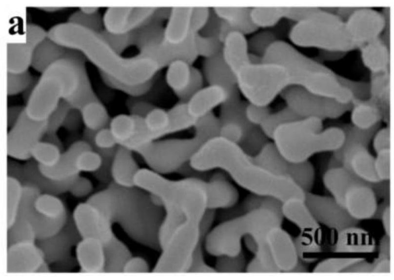 Cobalt-lanthanum co-doped visible light response BiVO4 photoelectrode and preparation method thereof