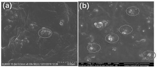 Preparation method of a high-flux solvent-resistant nano-hybrid nanofiltration membrane based on natural materials