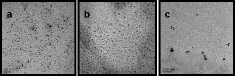 A diagnosis and treatment reagent with sers/fluorescence dual-mode targeted tumor cell imaging and its preparation method