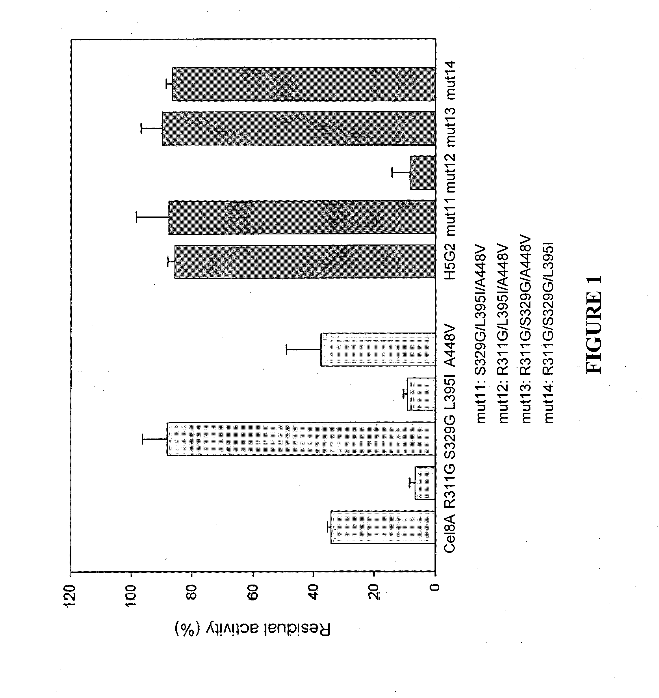 Modified cellulases with enhanced thermostability