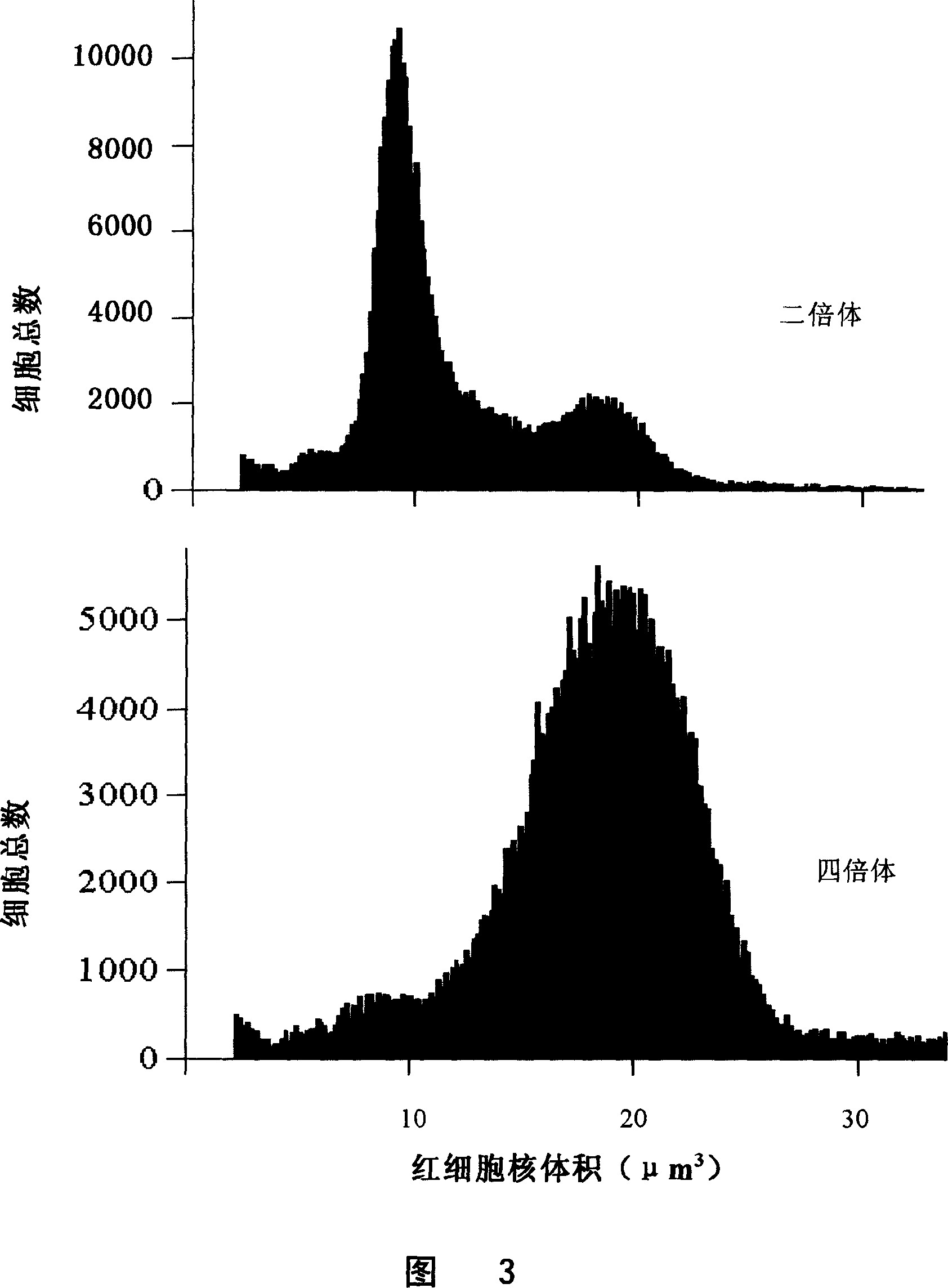 Method for constructing allotetraploid of bluntsnout bream