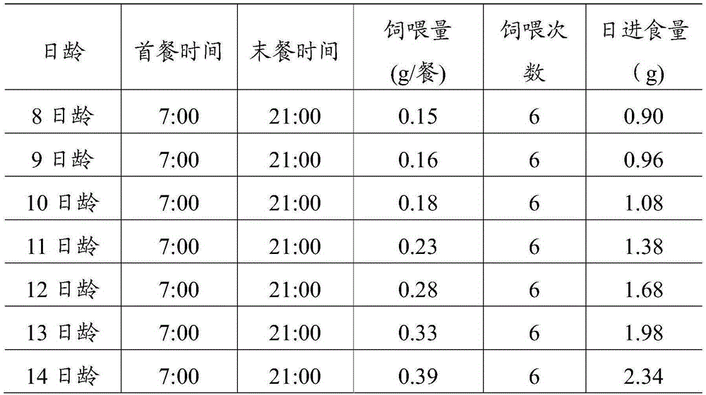 Feed for feeding esculent swift and preparation method and application thereof