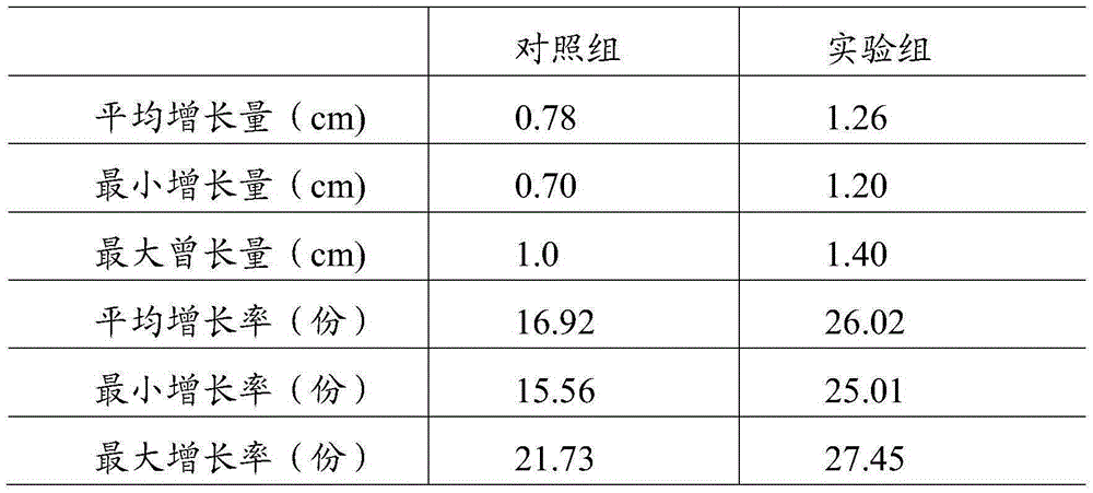 Feed for feeding esculent swift and preparation method and application thereof