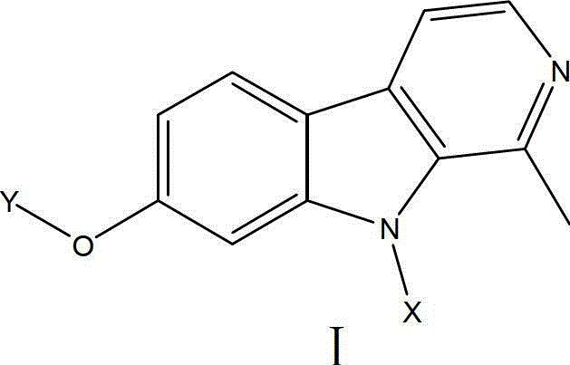 Harmine derivative anti-tumor prodrug with target characteristic