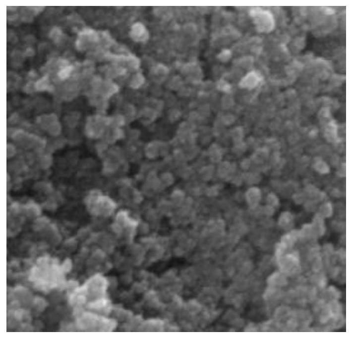 Porous polythiophene nano-film loaded with nano zero-valent iron as well as preparation method and application of porous polythiophene nano-film