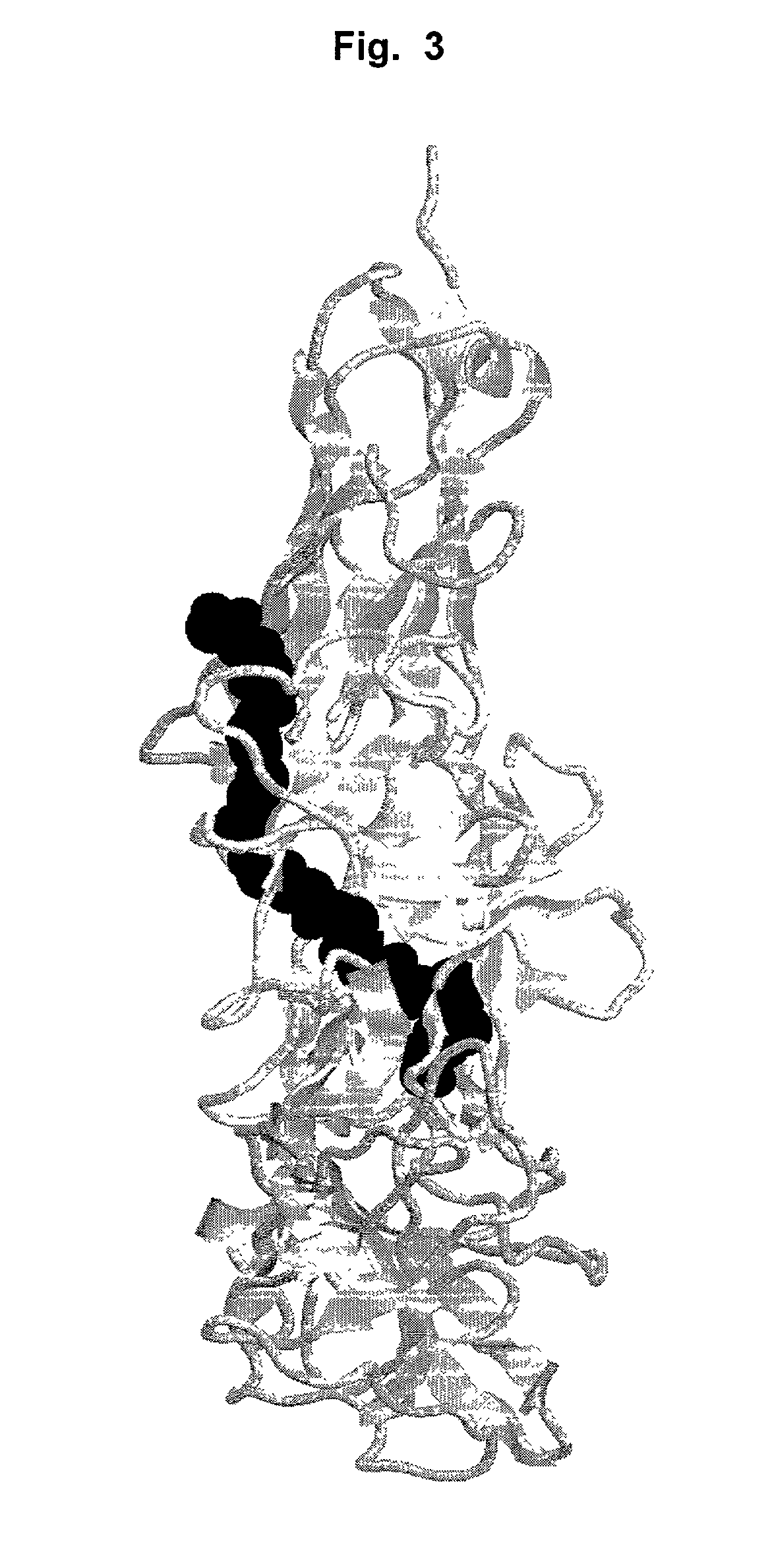 Antibodies that bind IL-18 and methods of inhibiting IL-18 activity