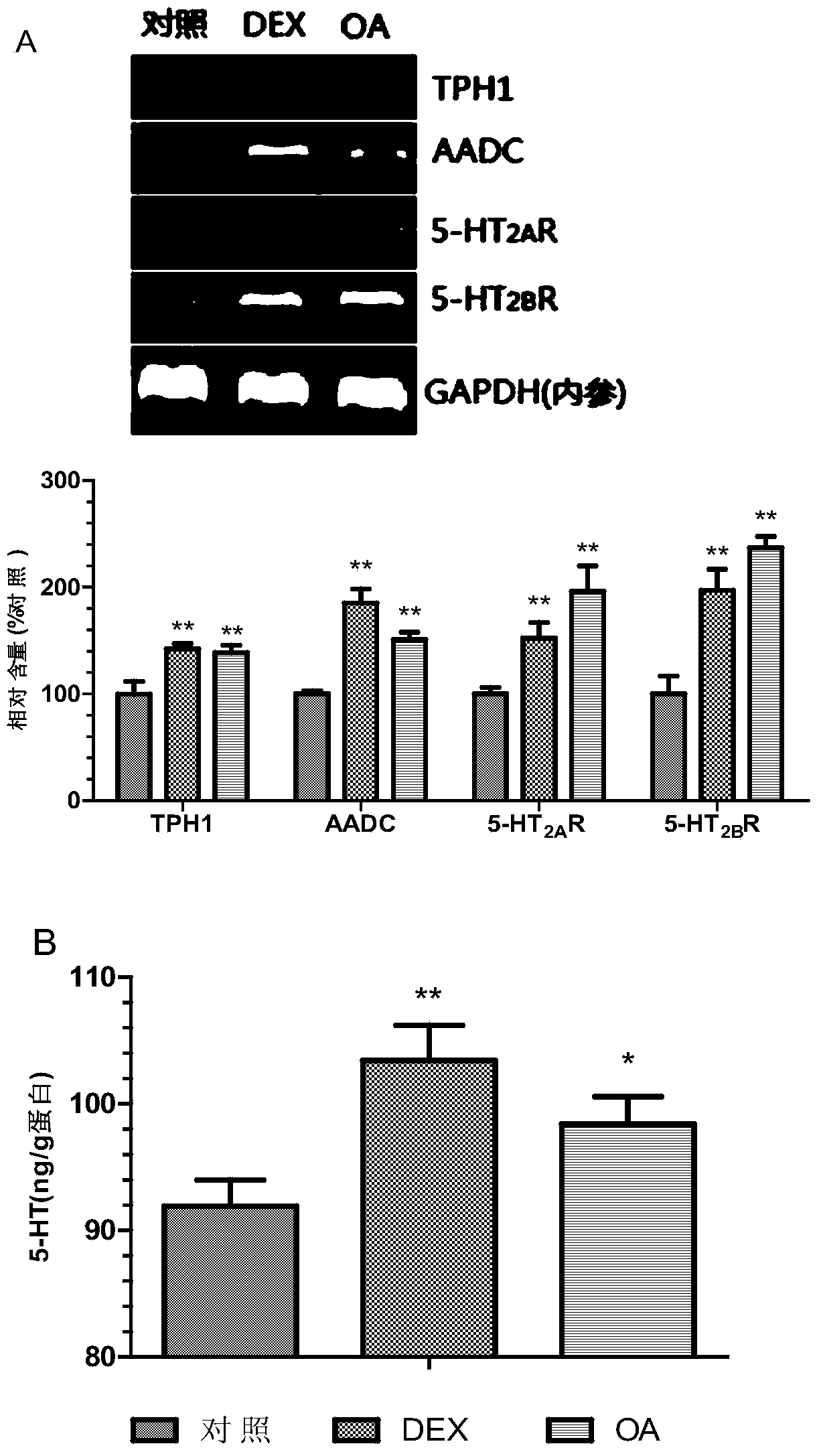 Compound medicine composition for treating II type diabetes or metabolic syndrome