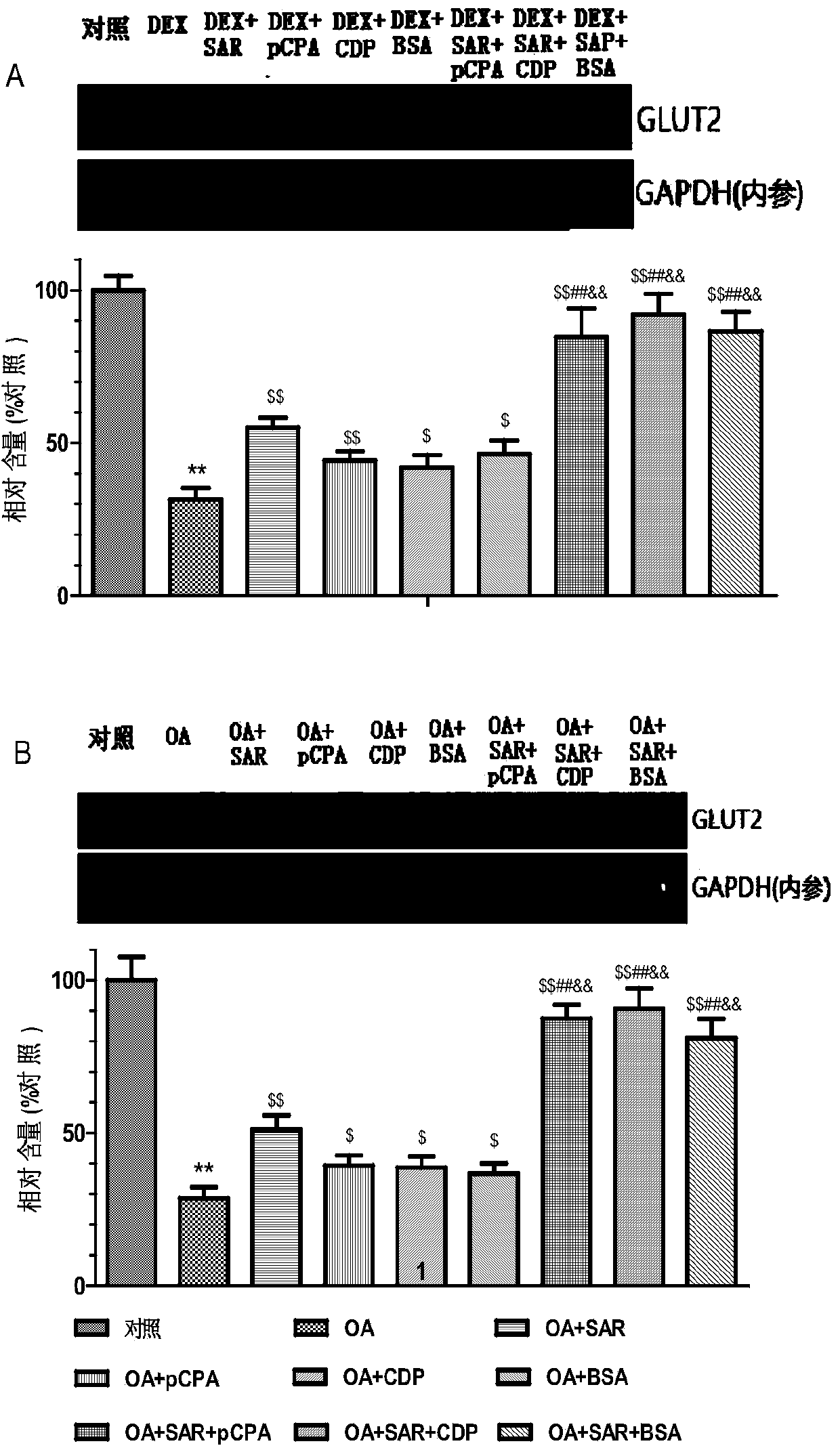 Compound medicine composition for treating II type diabetes or metabolic syndrome