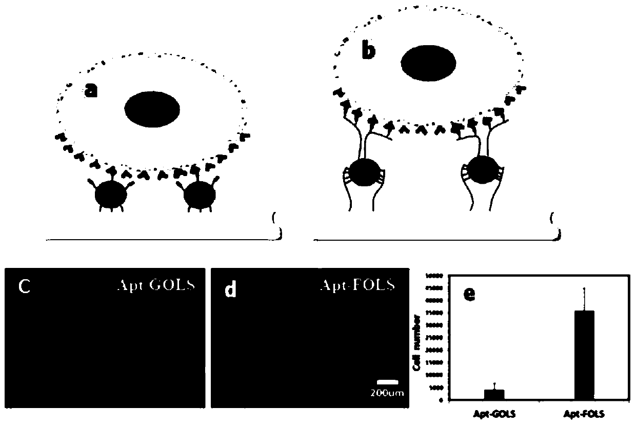 Multiple-capture ligand-modified multilayer nanoparticle flexible scaffold for target cells and its application