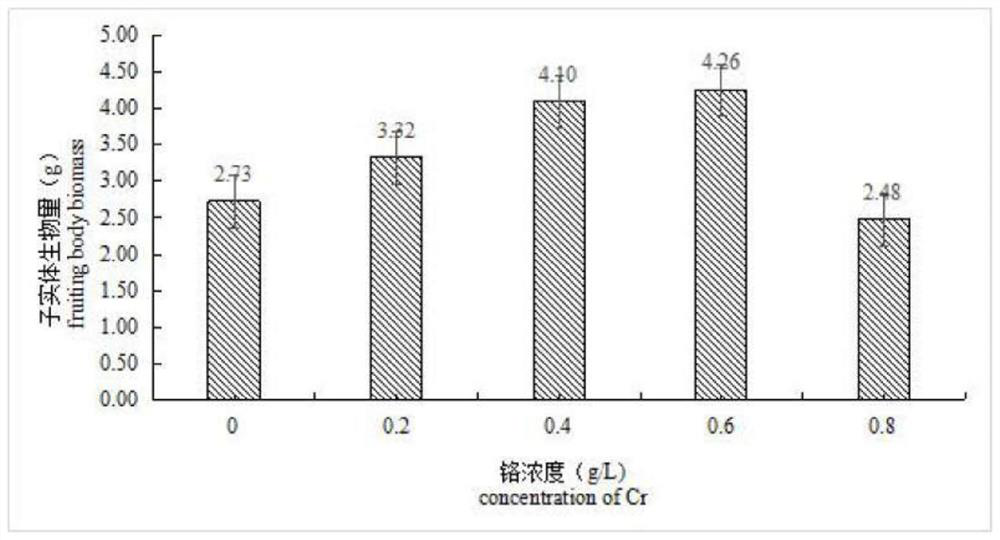 A kind of Cordyceps militaris cultivation method