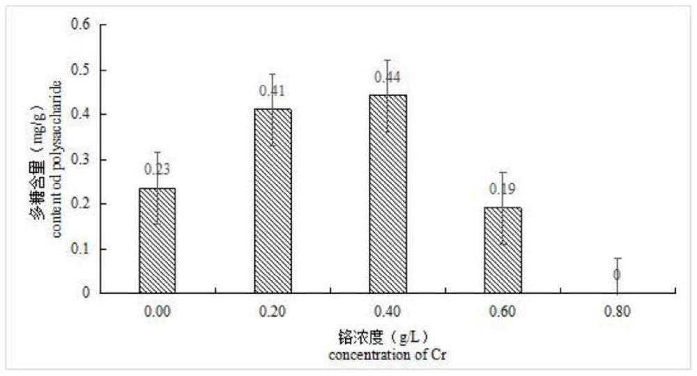 A kind of Cordyceps militaris cultivation method