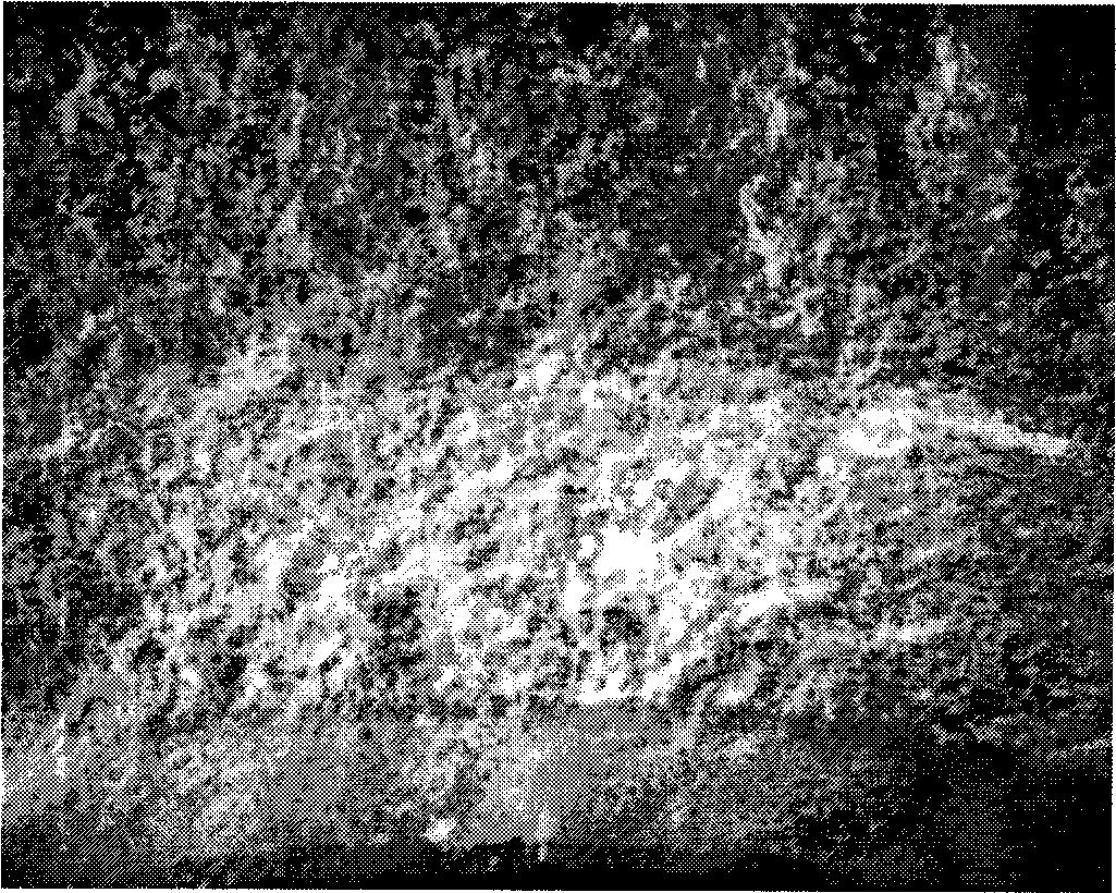 Method for preparing WC-Co gradient hard alloy material