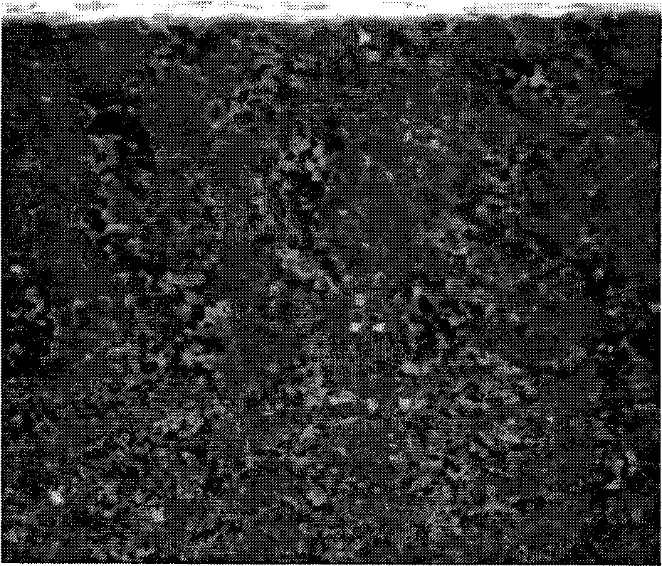 Method for preparing WC-Co gradient hard alloy material