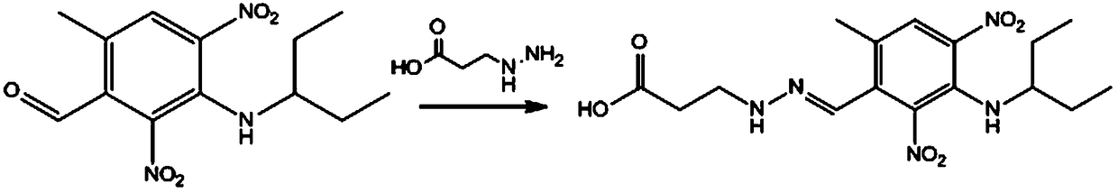 Preparation and application of pendimethalin hapten and antigen