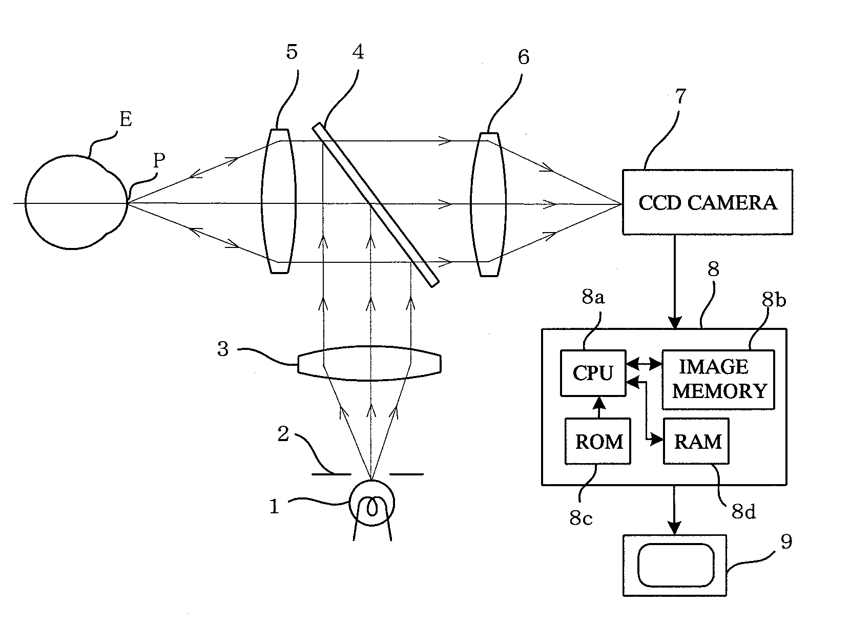 Ophthalmologic apparatus and image classification method