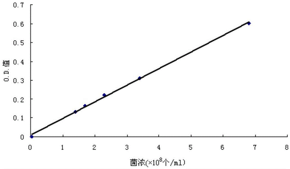 Chewing gum for cleaning oral cavity and protecting teeth and preparation method thereof