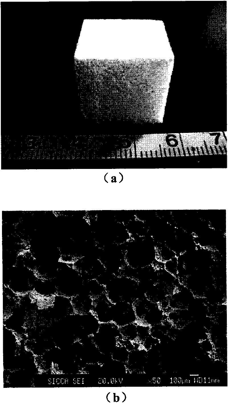 Bone tissue engineering bracket material and preparation method and application thereof