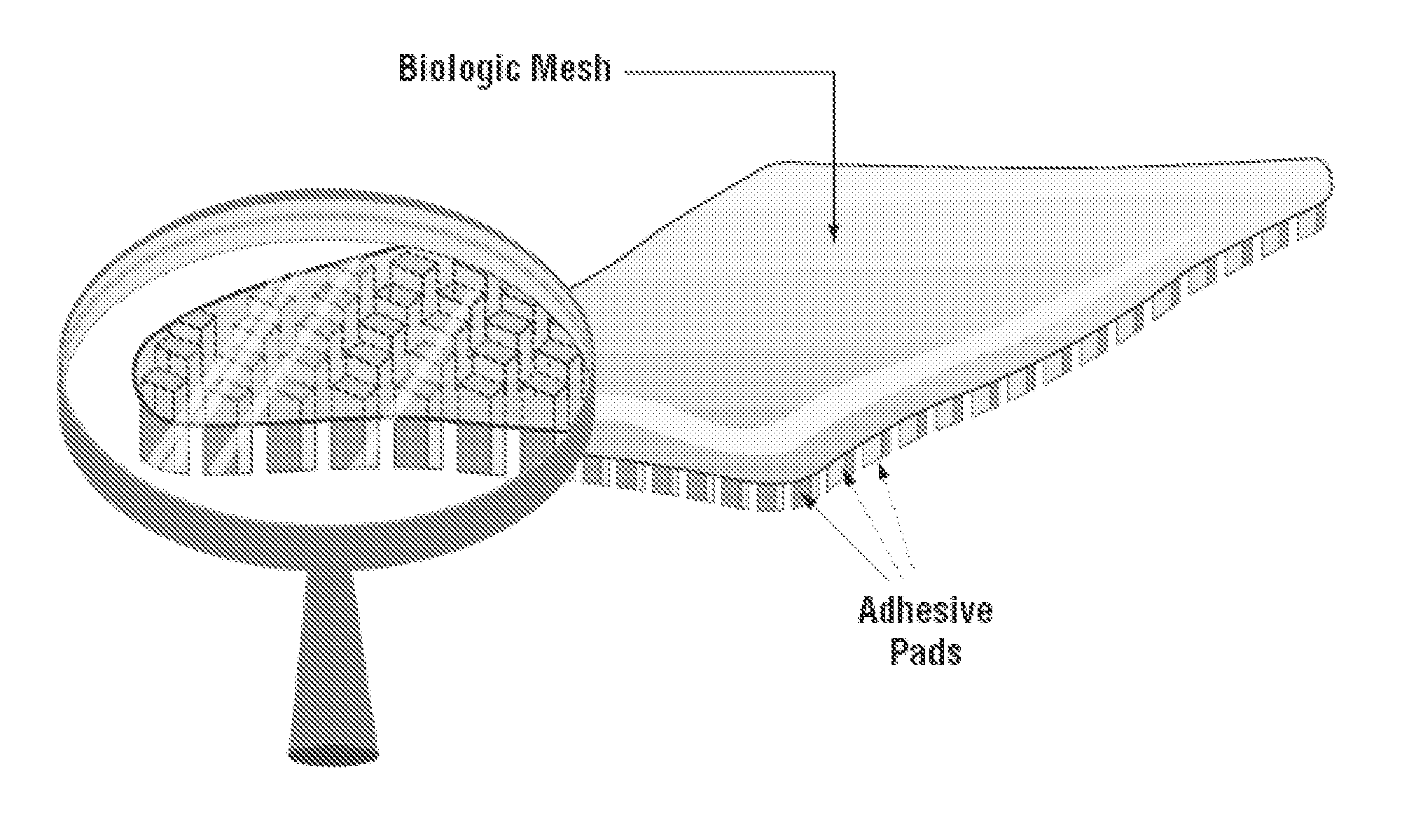 Multibranched bioadhesive compounds and synthetic methods therefor